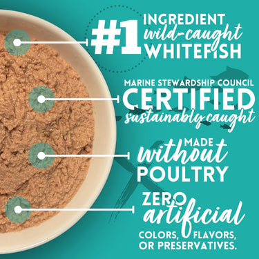 Ocean Whitefish & Potato Recipe Cat Food