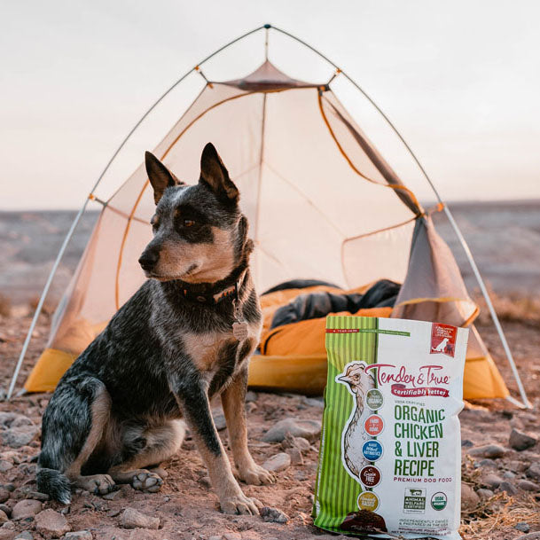 thumbnail interactive-video image 1 of Tender & True Organic Premium Dog Food – Turkey & Liver Recipe, 4 Lb Bag, Organic, Exp 7/2025 1 of 6