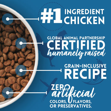 Chicken & Brown Rice Recipe Dry Dog Food