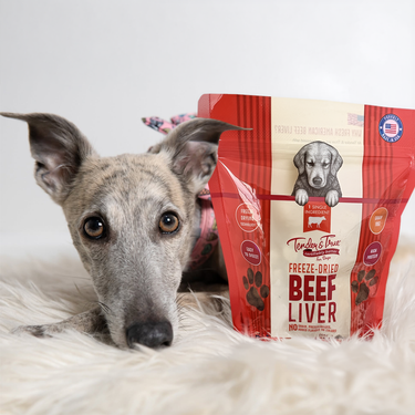 Freeze Dried Beef Liver Treats