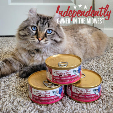 Salmon & Sweet Potato Recipe Cat Food