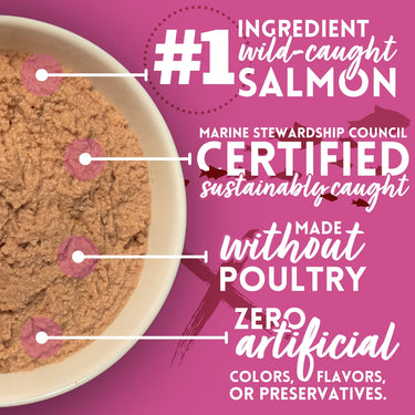 Salmon & Sweet Potato Recipe Cat Food