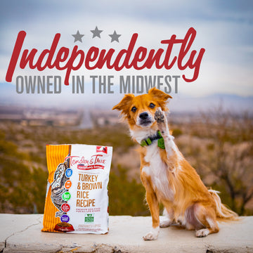 Turkey & Brown Rice Recipe Dry Dog Food