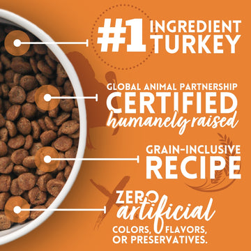 Turkey & Brown Rice Recipe Dry Dog Food