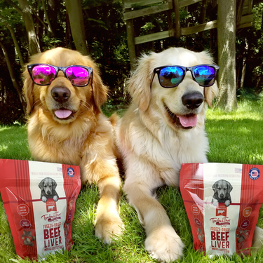 Freeze Dried Beef Liver Treats - 2 Pack