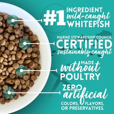 Whitefish & Potato Recipe Dry Cat Food