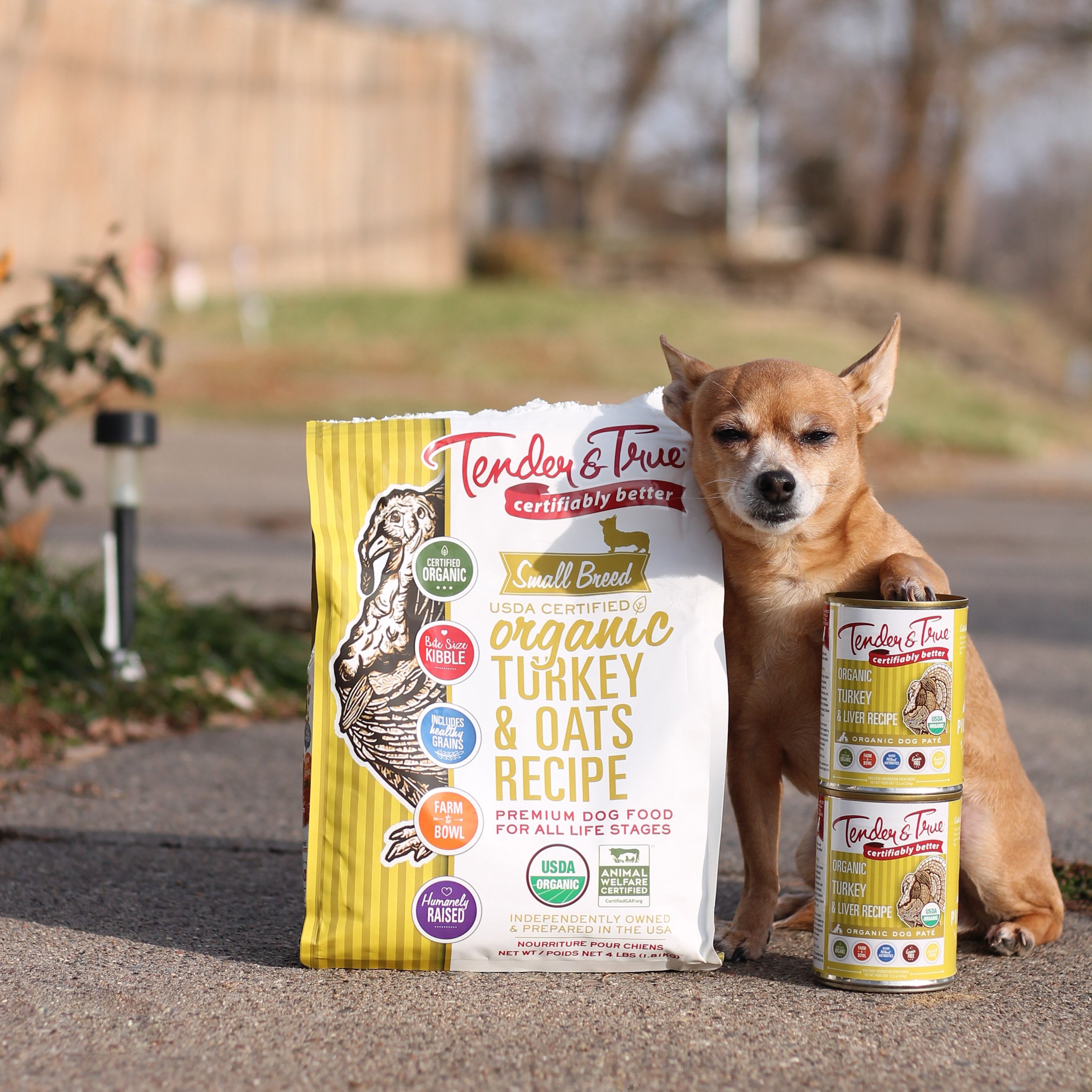 Whole Foods Castor And Pollux Puppy Puppy Recipe Organix Dog