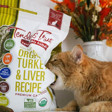Turkey dry cat food cheap