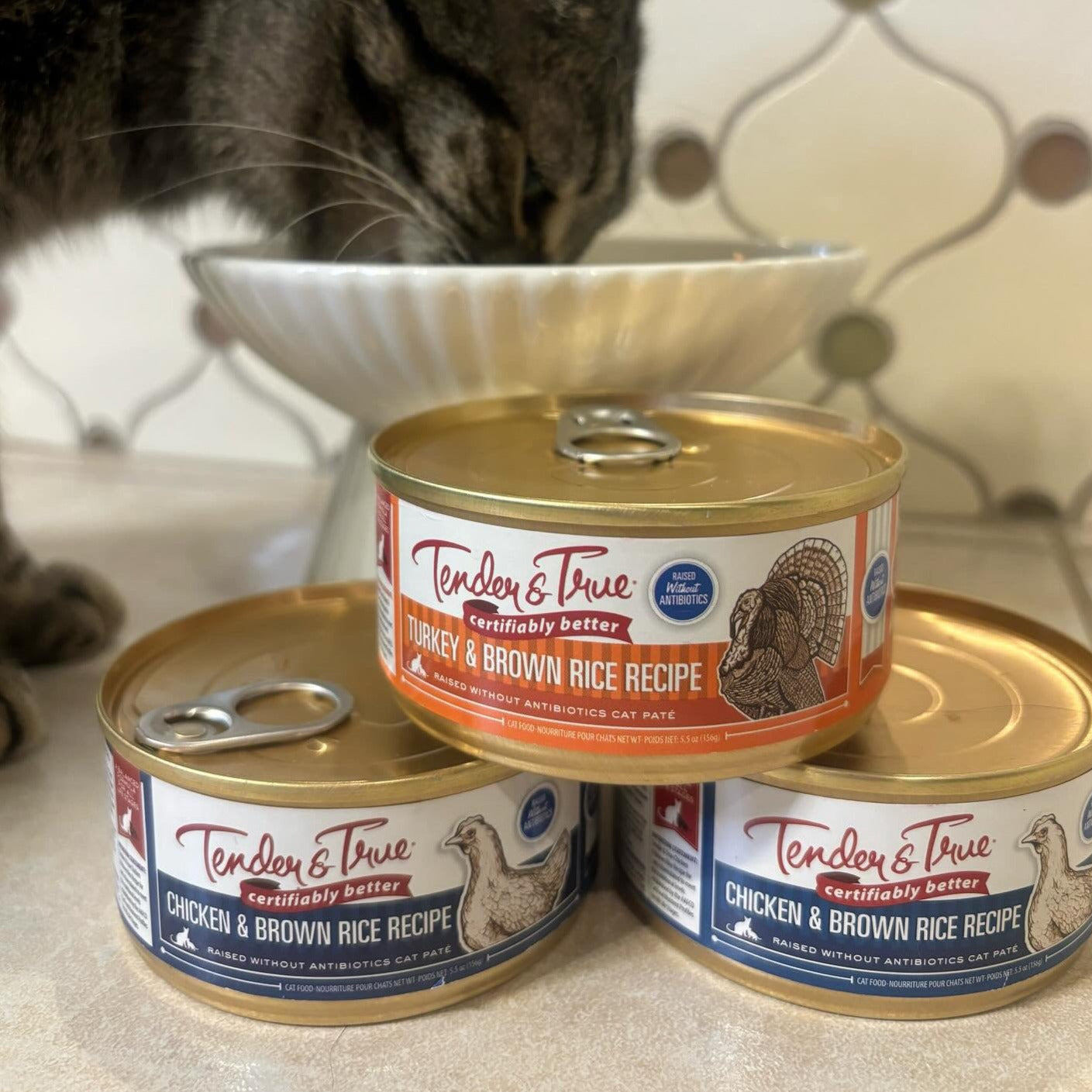 Turkey Trader Joe's Wet Cat Food Homestead Turkey Pâté For